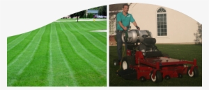 Header-lawn - Lawn Maintenance