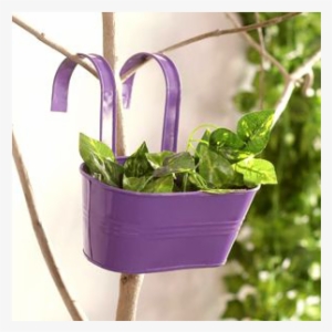 Wall Hanging Plants - Railing Pots