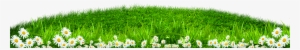 Grass Border Png - Wallpaper