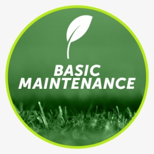 $100 Per Month * Basic Maintenance Will Include The - Grass