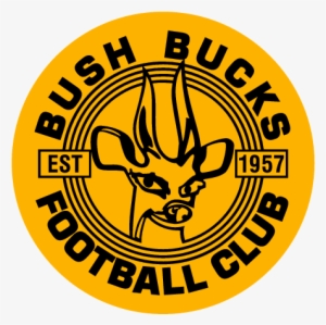 Report - Bush Bucks F.c.