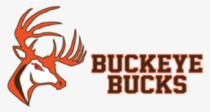 Click On Logo To Order Your Spirit Wear - Buckeye High School Logo