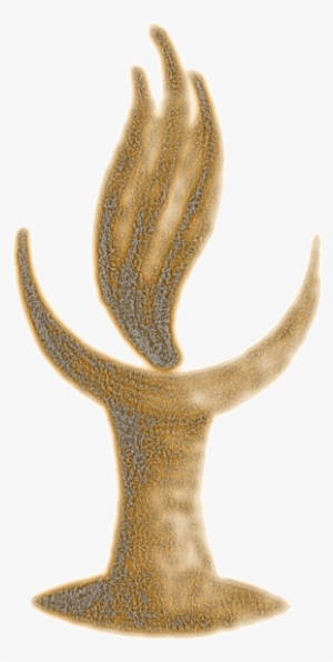 Chalice - Peniocereus Greggii