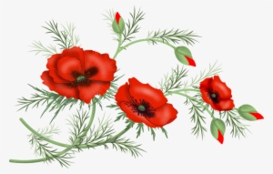 Flowers Poppy Png Malowanki Pinterest Decoupage And - Jpeg