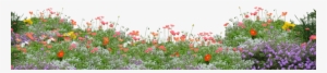 Crop Image, Photoshop Elements, Overlays, Wildflowers, - Flowers In Garden Png