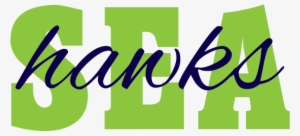 Seahawk Drawing Stencil - Transparent Seahawk