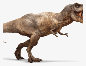 Indominus Rex Wiki Tyrannosaurus Rex T Rex Wiki Ark - Imágenes Del Tiranosaurio Rex