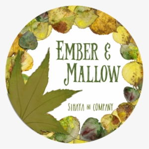 Ember & Mallow - Posterazzi Gather Blessings I Poster Print By Stephanie
