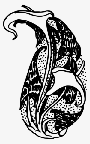 Paisley Drawing Motif Floral Design Art - Clip Art