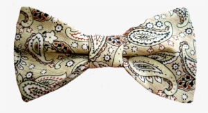 Sandstone Paisley - Paisley