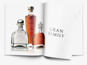 Patron Bb11 - Gran Patron Platinum Blanco Tequila