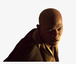 Mace Windu - Its Treason Then Meme