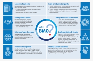 Various Collateral And Infographics Designed For Bmo - Mystatesticker.com Utah Plain White Oval Sticker 3.5"