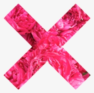 Flowers, Pink, And X Image - Pink X Png