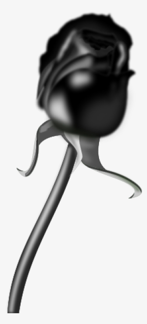 Rosa Negra Clipart Png