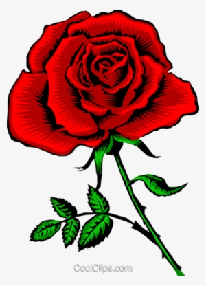 Red Rose Royalty Free Vector Clip Art Illustration - Free Scroll Saw ...