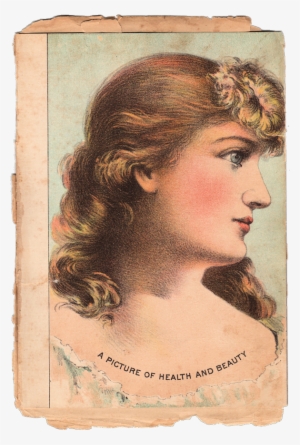 Free Vintage Graphic Victorian Beauty Great Texture