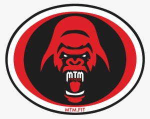 Check Out Our Coaching Partner, Bringing Top Notch - Gorilla