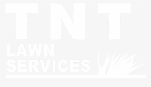 March Of Dimes Logo 2018