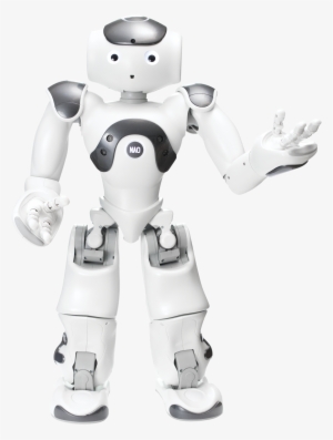 Robot Human Interaction - Robot