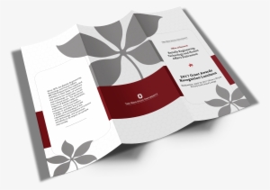 Center For Emergent Materials Summer Research Experience - Graphic Design