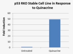Analysis Of P53 Pathway Reporter Rko Stable Cell Line - Niger