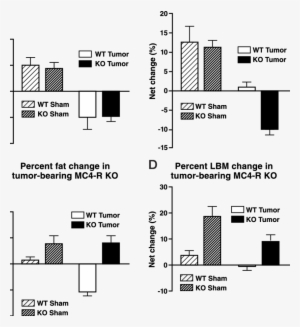 A, Mc3 Rko Mice Lose A Similar Amount Of Body Fat As - Diagram