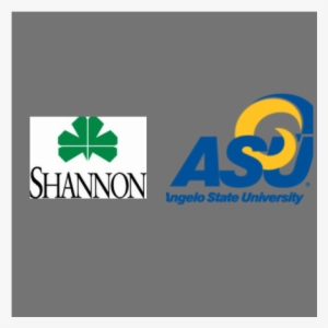 Shannon Medical Center