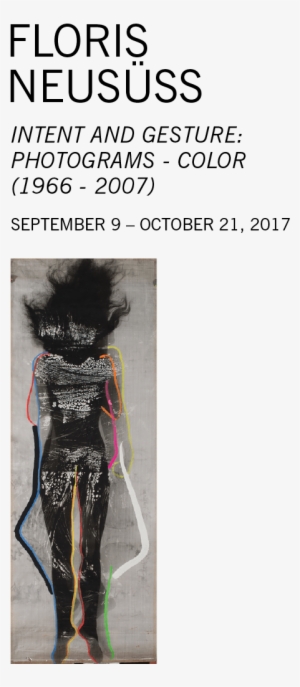 Floris Neususs John Zinsser On View - Album Cover