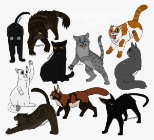 100 Warriors Challenge Days 71-80 - Cat