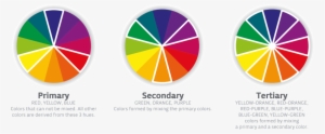 The Color Wheel - Red Yellow Pink Green Orange Purple Blue