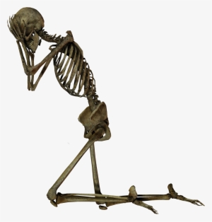 Stock Images Png Clip Transparent Stock - Stock Photo Png