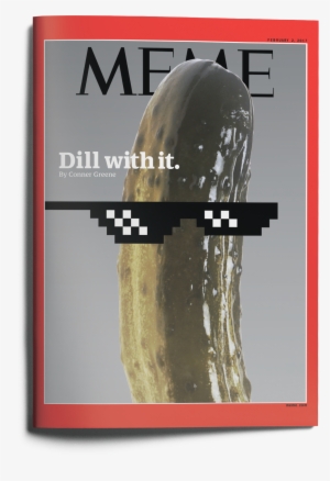 My Late-2016 Parody Cover - Solitary Pickle Large Mug