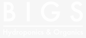 1491350509728 - White Colour Dp For Whatsapp