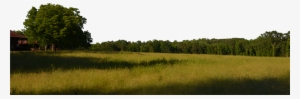 Field And Trees Background Png Stock 0038 Copy 5 By - Klse:ptb