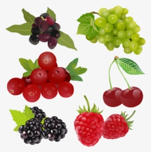 1 Of 4 Fruit Set Drawing 3d Stock, Set Clipart, Exquisite - Fruits Drawing Hd