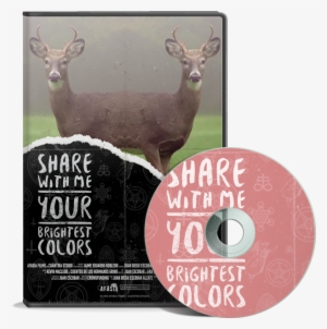 Wallpaper Para Celular - Elk