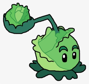 Picture Library Cabbage Drawing Water - Plants Vs Zombies Characters Drawing