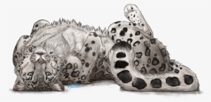 Snow Leopard By Riixon-d5q5na9 - Draw A Snow Leopard