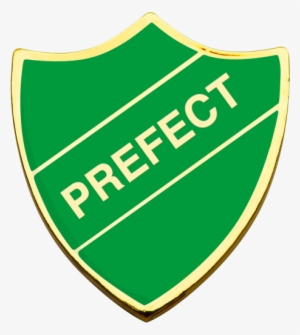 Prefect-slytherin - Head Boy Of School