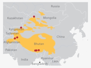 Snow Leopard Range - Snow Leopard Map