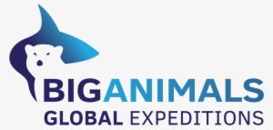 Big Animals Expeditions
