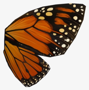 10 Pm 186711 Stonewall - Right Wing Of A Butterfly