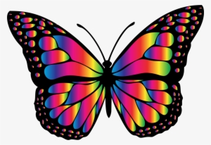 Insect Animal Chrissy S Wish Memorial Fund - Big Picture Of Butterfly