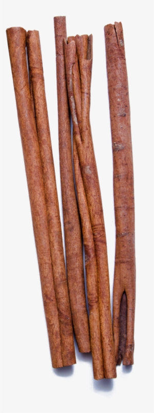Cassia Sticks Buy The - Cinnamon