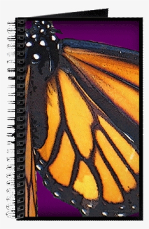 Hudson Valley Farm Art - Rasta Sunshine Color Journal