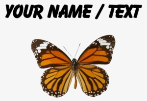 Custom Monarch Butterfly Mousepad - Custom Monarch Butterfly Shower Curtain