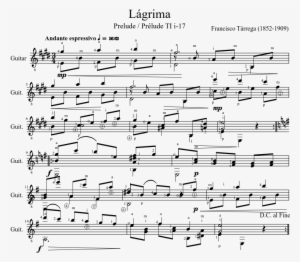 Lágrima - Take It Easy Boy Boy Noder