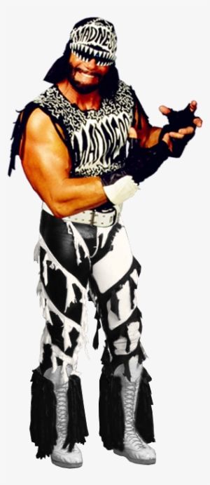 Nwo Png - Wwe - Ultimate Macho Man Randy Savage Collection