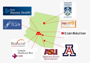 Bioaccel Created The Coalition For Bioscience Commercialization - Arizona State University